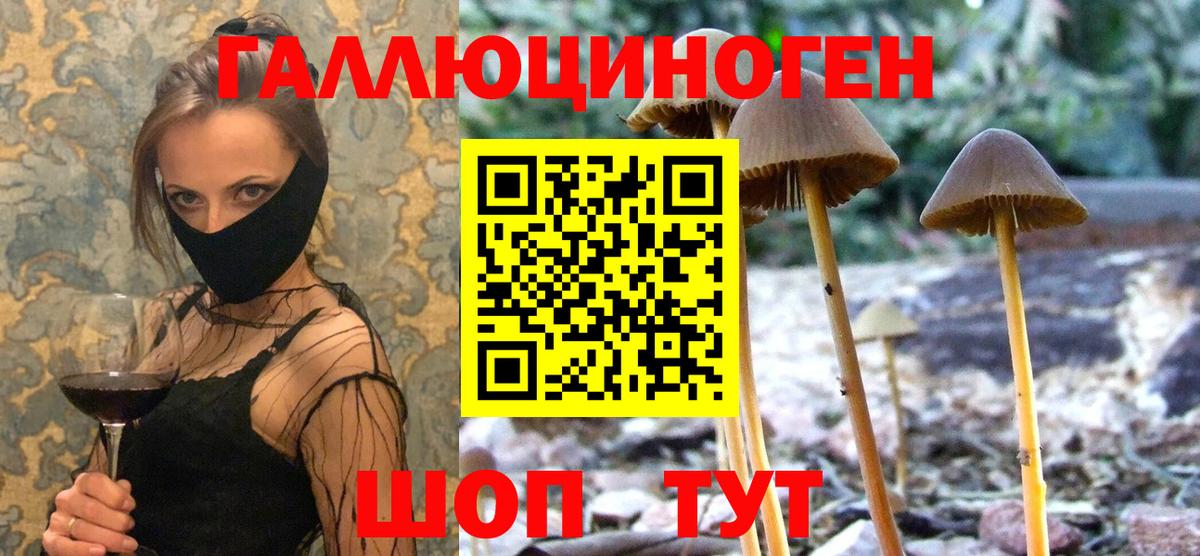 Галлюциногенные грибы Cubensis Ейск