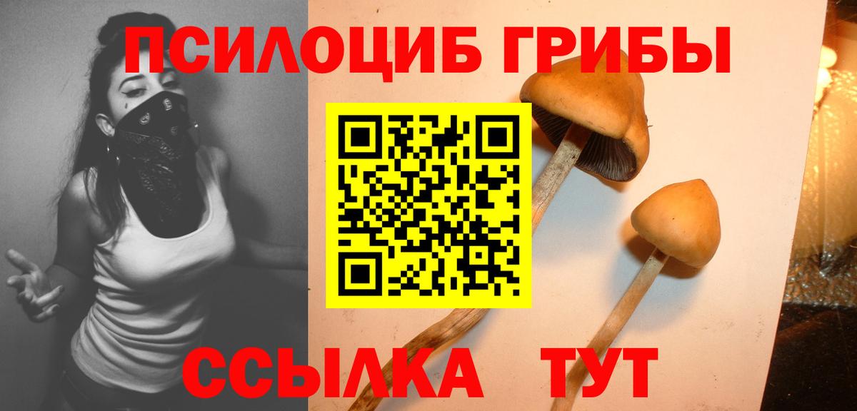 Псилоцибиновые грибы Psilocybine cubensis  Вход с VPN  Ейск 