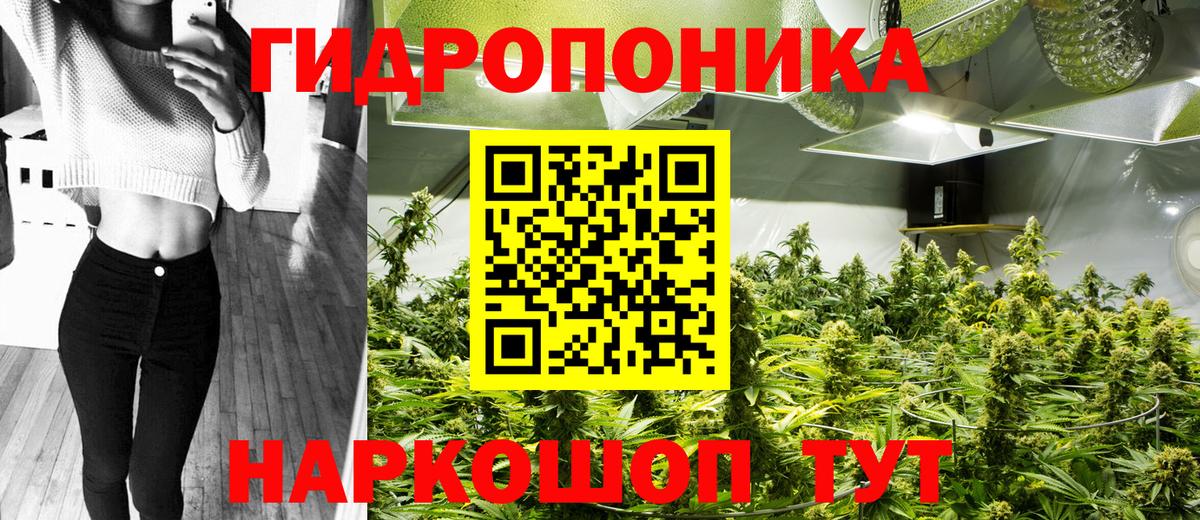 МАРИХУАНА OG Kush  Бошки марихуана OG Kush  Ейск  Вход с VPN  Бошки марихуана THC 21%  Бошки марихуана THC 21% 